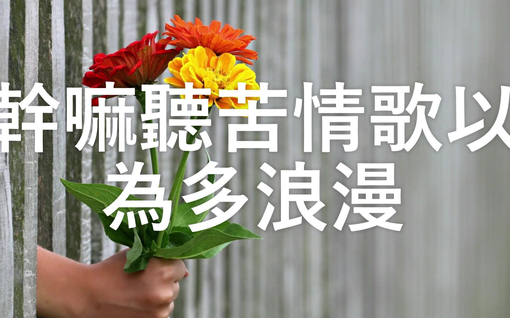 初遇南音/亦轩 -干嘛听苦情歌以为多浪漫 (DJ版) 【干嘛听苦情歌以为多浪漫再浪漫都被拆散】 (动态歌词 lyrics video) 抖音 ...