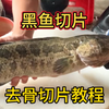 黑鱼去骨去刺切片教程，酸菜鱼必备