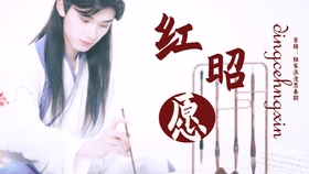 小提琴黑人抬棺曲谱_黑人抬棺小提琴谱(2)