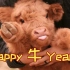 祝大家Happy牛Year！！！