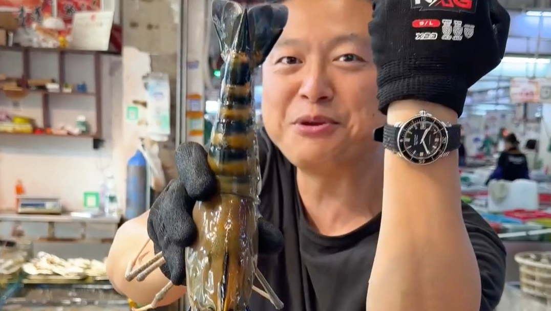 世界上最大淡水虾罗氏沼虾。做生醉和宝岛胡椒虾尝尝