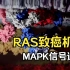 【癌症简史笔记 01】RAS与MAPK信号通路