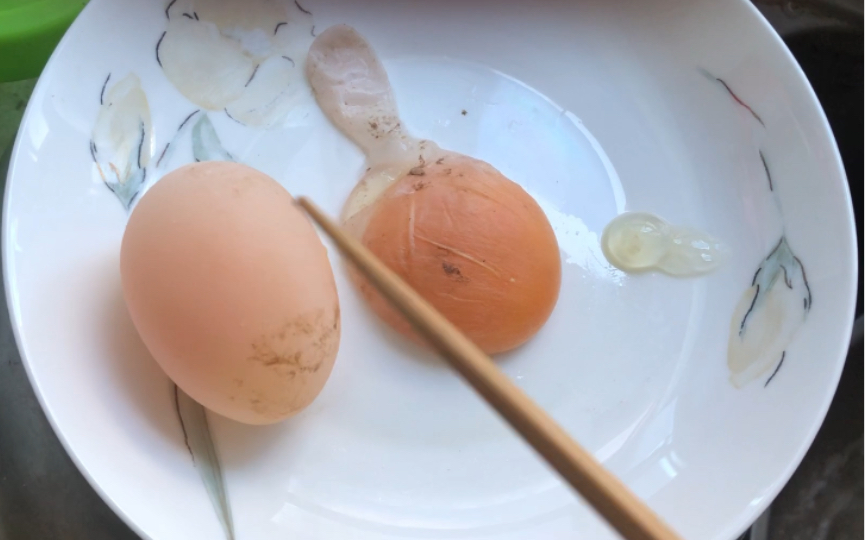 今天一大早，三只鸡下了三枚不同的蛋。最小的一枚只有葡萄粒大小。其中一枚还带有一个大尾巴