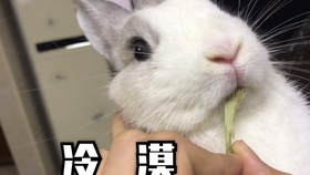 7c0b008f5be23aa806033cf3fc15f97799176570.jpg@280w_158h_1c_100q.jpg
