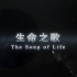 【央视】中文国际频道CCTV-4《生命之歌》