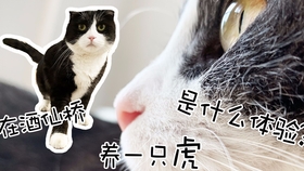 7c1bc6b43ac52295ceca01f53c8efd41947dbd46.jpg@280w_158h_1c_100q.jpg