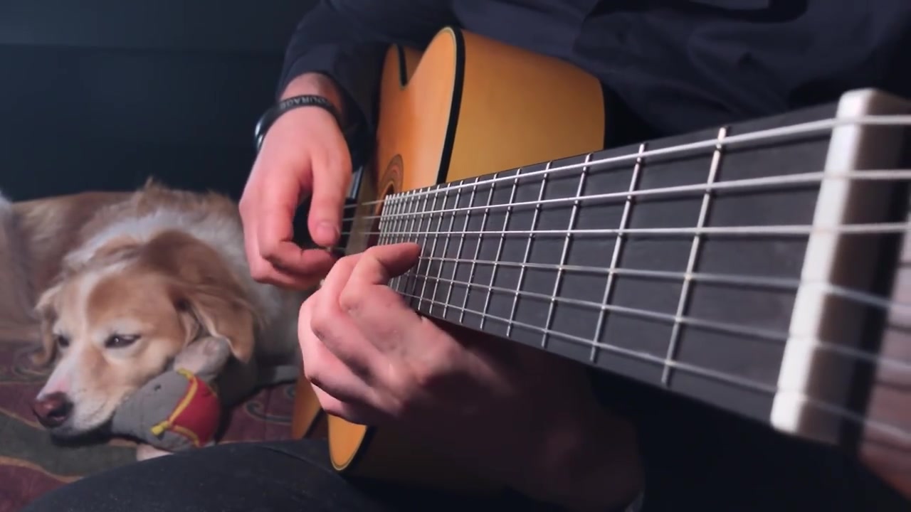 the last of us(古典吉他)