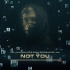 Alan Walker & Emma Steinbakken - Not You (官方Visualizer)