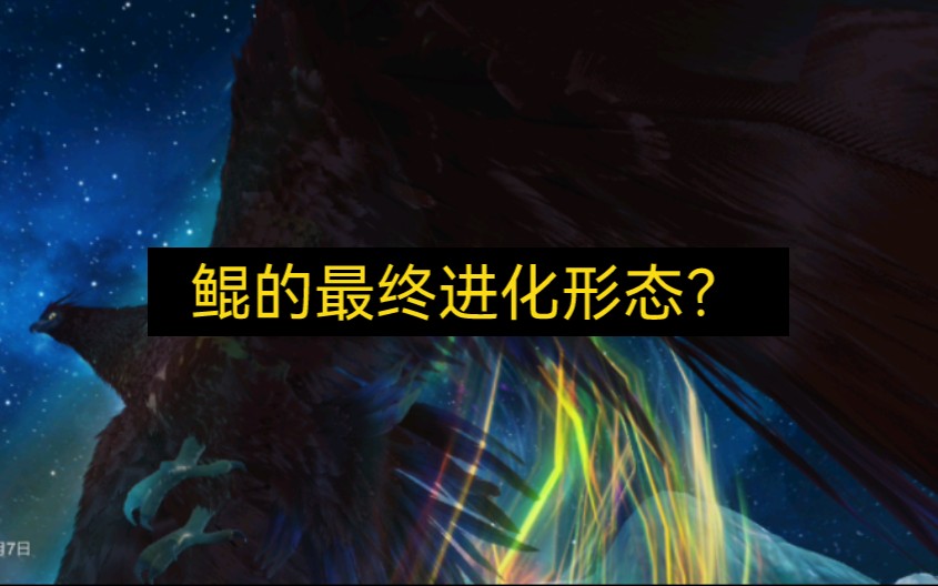 这是不是鲲的最终进化形态