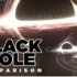 黑洞大小对比