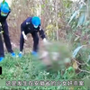 安徽省15岁少女强奸案