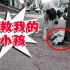 小狗被人打成重伤，奄奄一息，狗妈妈不停向路人求救！