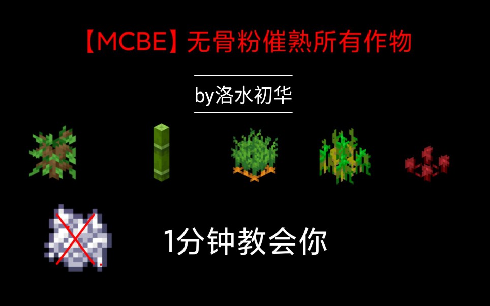 mcbe一分钟教会你无骨粉催熟所有作物基岩版更新抑制器原理讲解