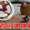 科技制作：up花36小时给鸡做了弹跳鞋，它能弹起来吗