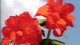 7c7de567d95c9561c6e6e11e5d927e5209734441.jpg@280w_158h_1c_100q.jpg