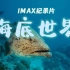 【IMAX纪录片】《海底世界》绝美的海底 千奇百怪的海洋生物  英语发音 中英字幕 1080P