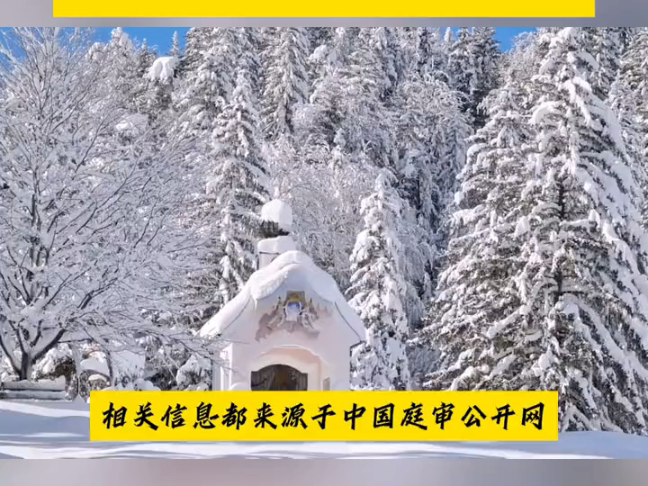 天眼查企查查信息修复操作指导,企业信用修复教学培训加盟招学员哔哩哔哩bilibili