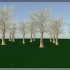 Houdini-植物树木模拟绑定视频教程