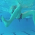 美女小姐姐游泳教练的蛙泳教学之 蛙泳腿的错误纠正及分解练习