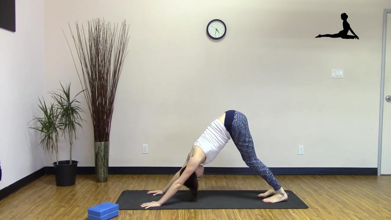 yin yang yoga for stress relief - 35 min all levels yoga class