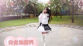 白金迪斯科简谱_q版白金迪斯科(2)