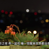 满月之夜，养一盆花，睡一觉醒来世界都治愈了