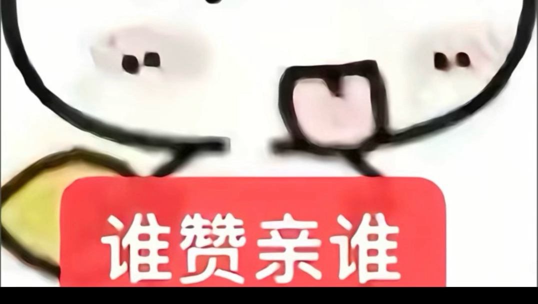 省流：记者夏日cos