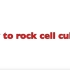 实验室技术：细胞培养 Cell Culture Training Video