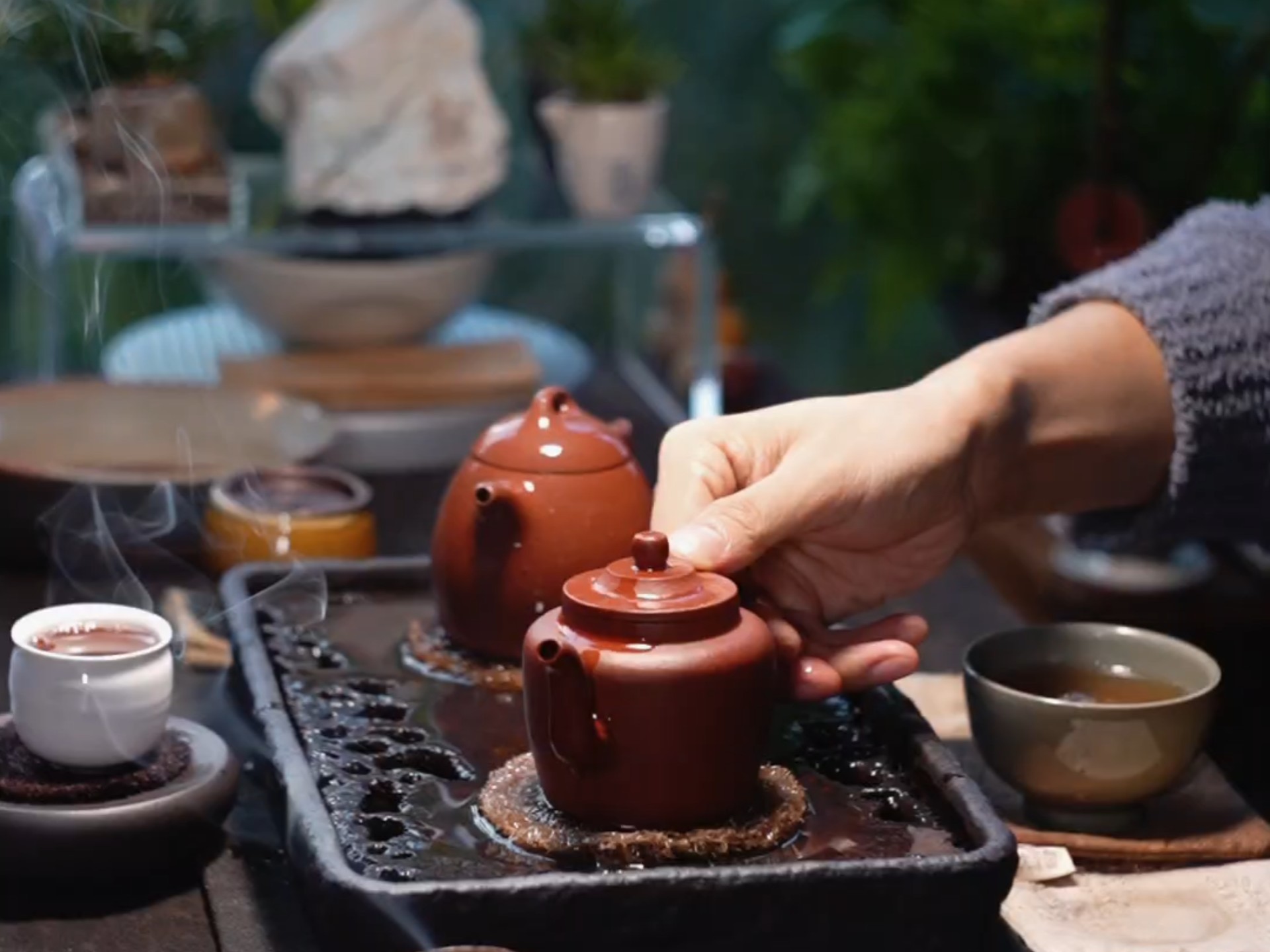 一壶宫灯，一壶秦权，岩茶香气弥漫