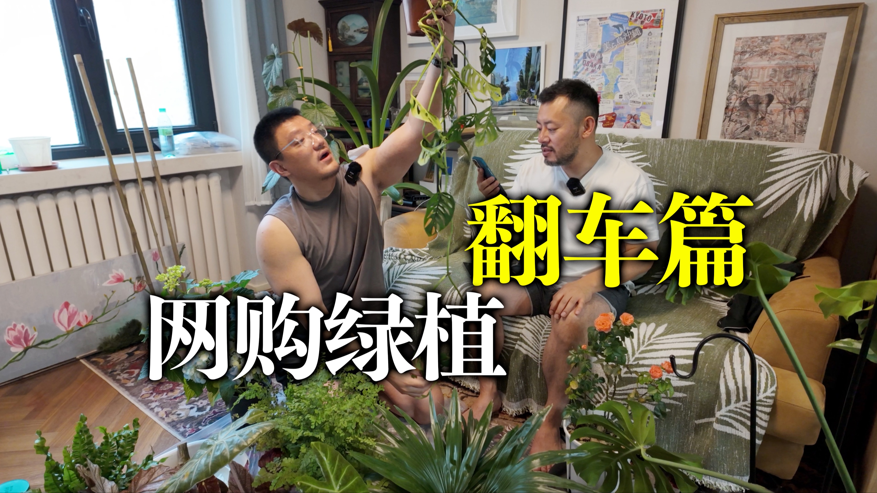 失败率100%的网购绿植购买评测！大翻车老师附体 | 铁线蕨 | 猴头蕨 | 仙洞龟背竹 | 野生簕竹