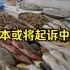 日本可能向世贸组织起诉中国水产品进口禁令