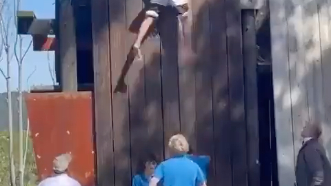 The power of cooperation