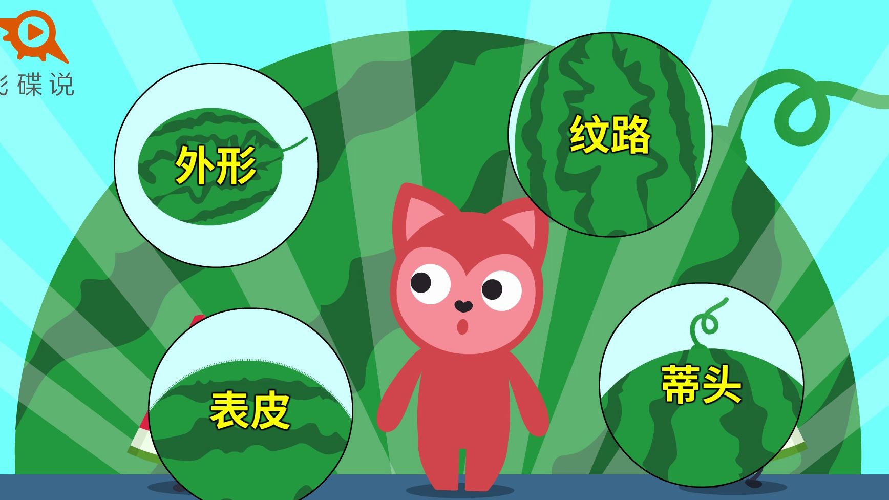 【飞碟一分钟】一分钟教你挑到「报恩大西瓜」~