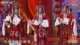 京剧锁麟囊迟小秋唱曲谱_京剧锁麟囊迟小秋剧照(2)