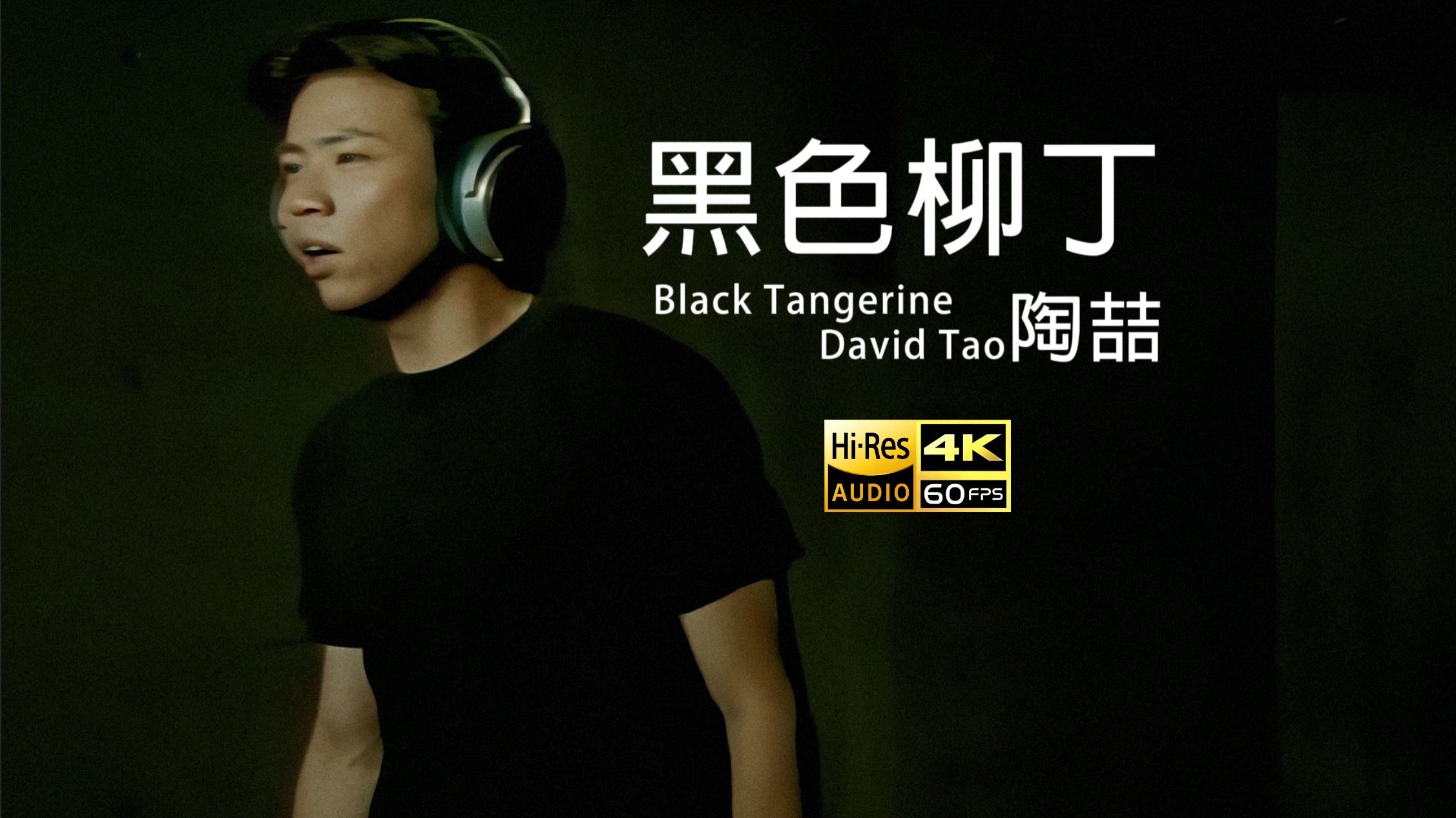 【4K60FPS精修｜Hi-Res无损音质｜无字档重置】陶喆 - 黑色柳丁 MV精修