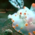 海底世界-索尼4K演示片
