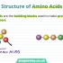 12.Proteins_ Structure of Amino Acids _ A-level Biology _ OC