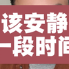 顶格处罚150万，该安静一段时间了吧