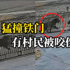 黑龙江野生东北虎跑进村庄，猛烈撞开农户家铁门，村里有村民被咬伤