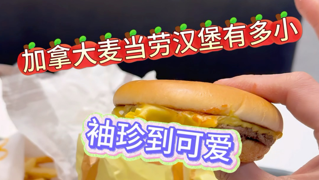 加拿大麦当劳真是把加拿大顾客当鬼子整啊