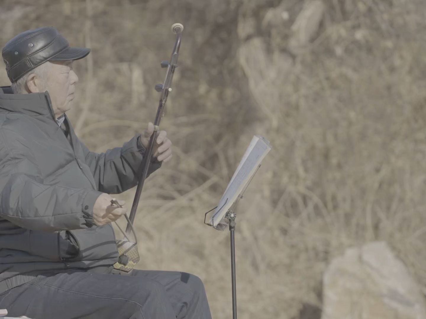 达芬奇调色练习素材分享 217