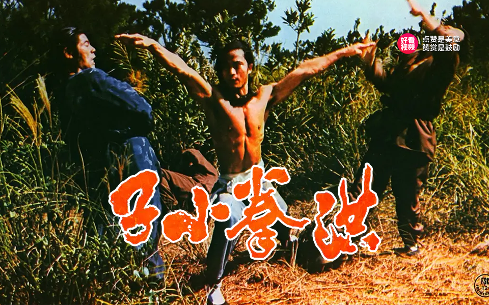 洪拳小子-1975年张彻执导的电影，傅声、戚冠军、江岛及卢迪主演电影