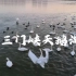 【旅拍-vlog】三门峡天鹅湖