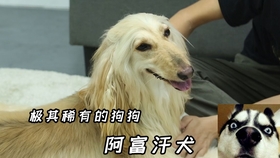 7dbf83cb2ccc27826eb944344aed83fcca97c923.jpg@280w_158h_1c_100q.jpg