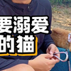 不要溺爱你的猫