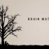 BRAIN MATTERS-婴幼儿大脑潜能开发