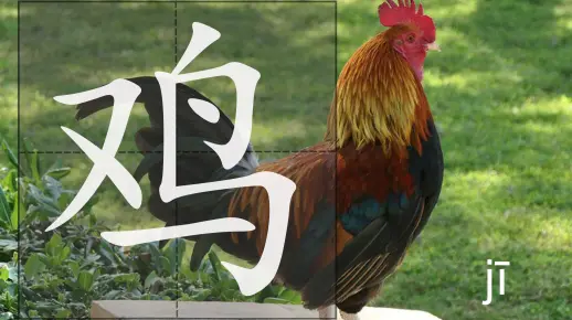 简单学汉字《鸡》