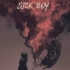 【专辑】【伴奏版】The Chainsmokers - Sick Boy (Instrumental) 烟鬼第二张录音室