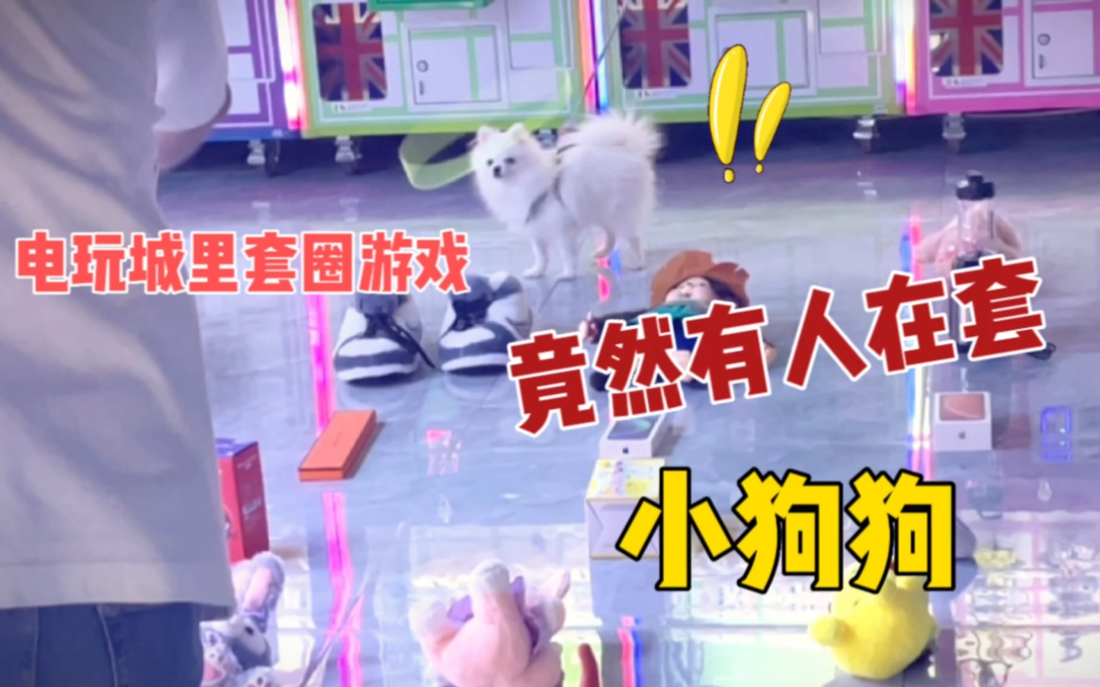 电玩城里套圈游戏，竟然有人在套小狗狗！