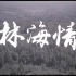 【剧情】林海情 (1984)【CCTV6高清修复版】【1080P】